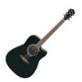 /album/galerie-de-photos/ibanez-entiere-jpg/